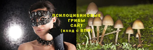 MESCALINE Каменка