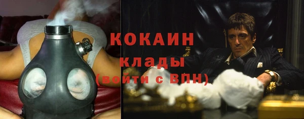 ешки Каменногорск