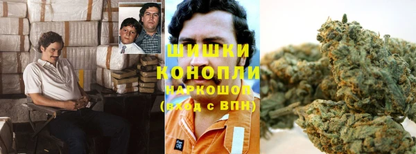 MESCALINE Каменка